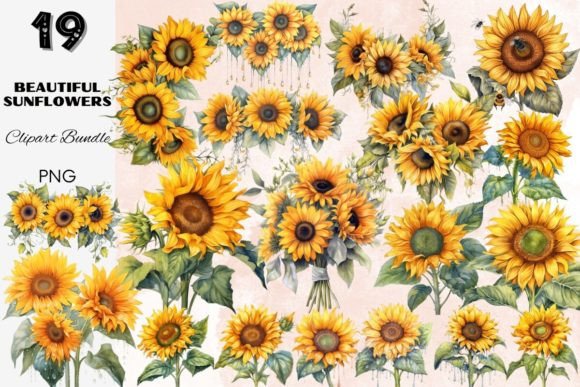 Download Sunflower Summer Sun Flower Sunflowers - Sunflower Collection